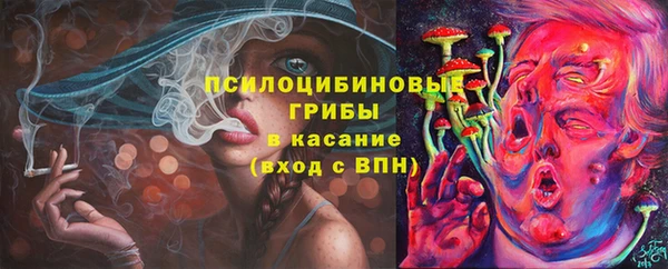 МДПВ Ростов