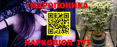 хмурый Дубна