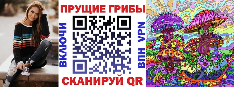 Галлюциногенные грибы Psilocybine cubensis Тихорецк