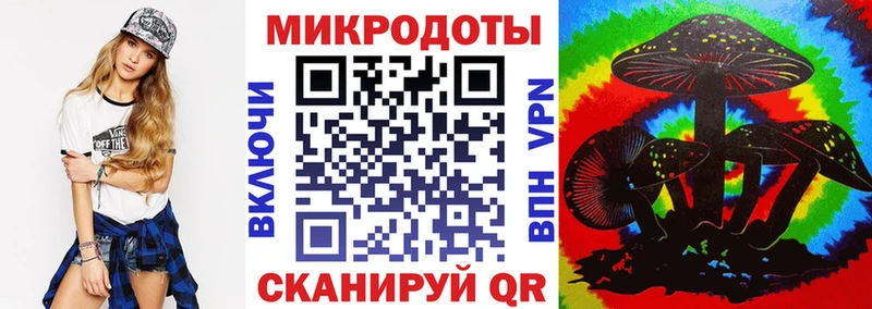 Псилоцибиновые грибы Psilocybine cubensis Тихорецк