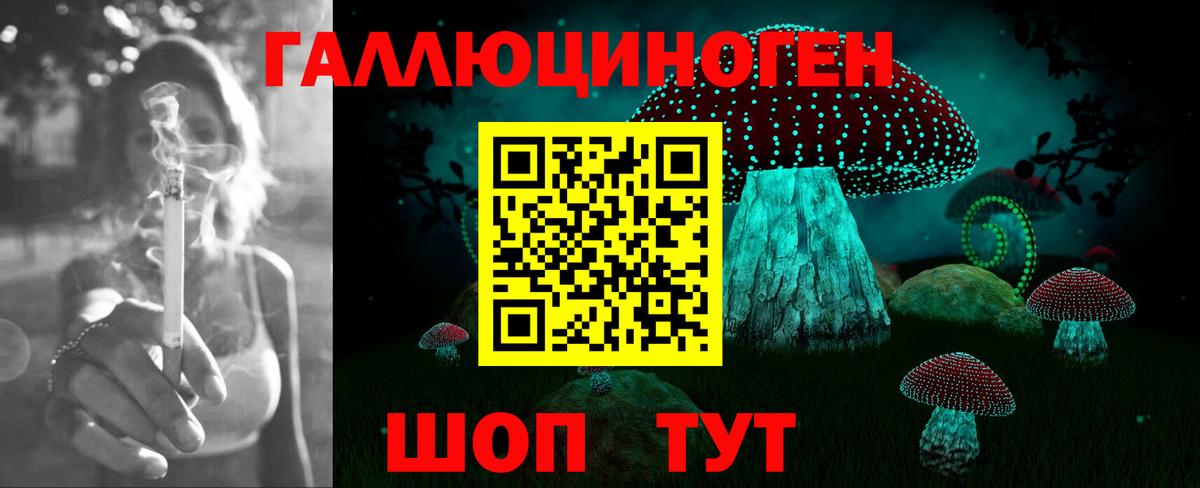 Псилоцибиновые грибы прущие грибы Тихорецк